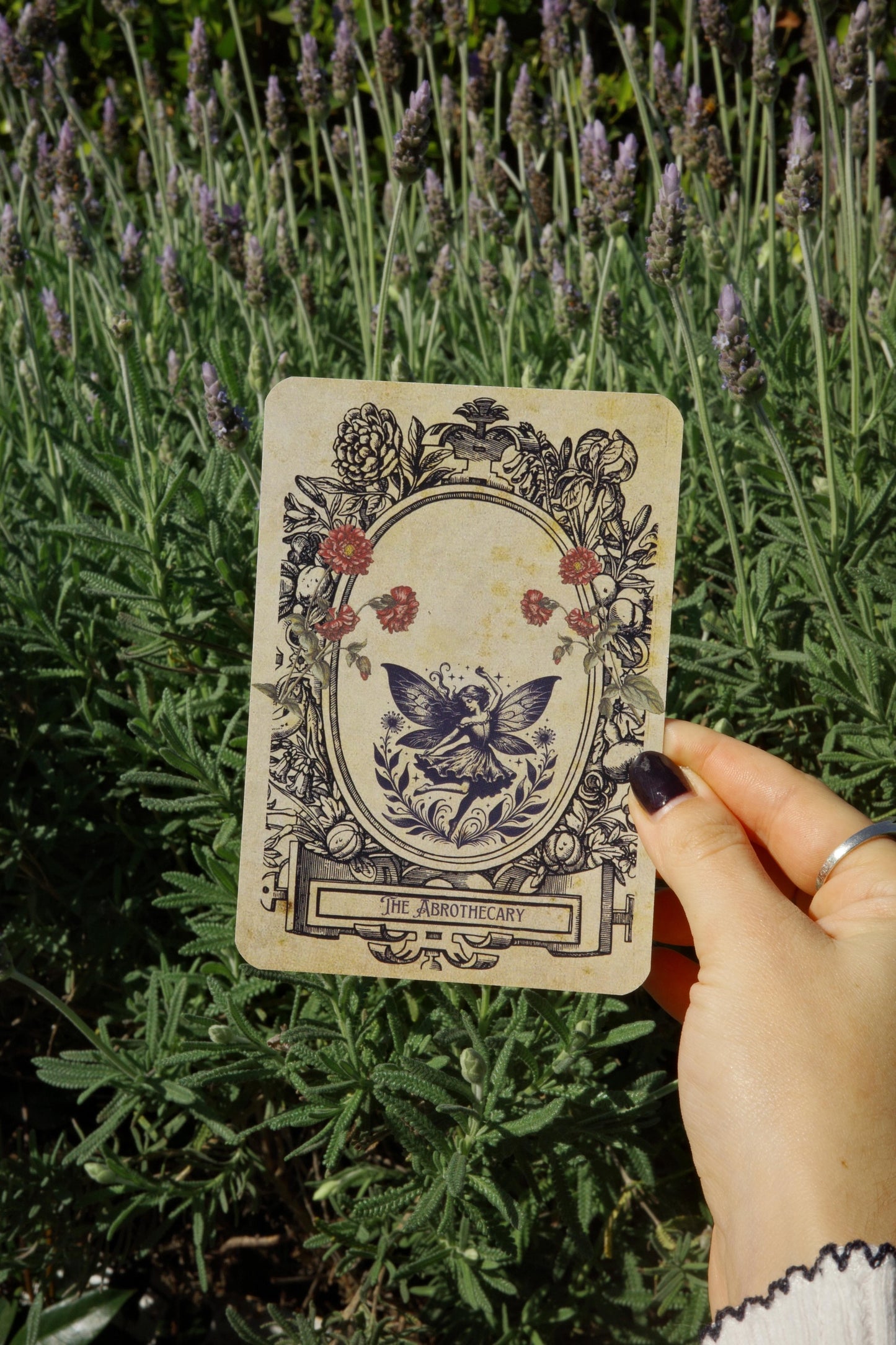 The Abrothecary Oracle Deck: 20 Exclusive Unique & Whimsical Food Recipes
